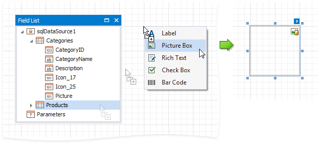 eurd-add-controls-from-field-list-picturebox