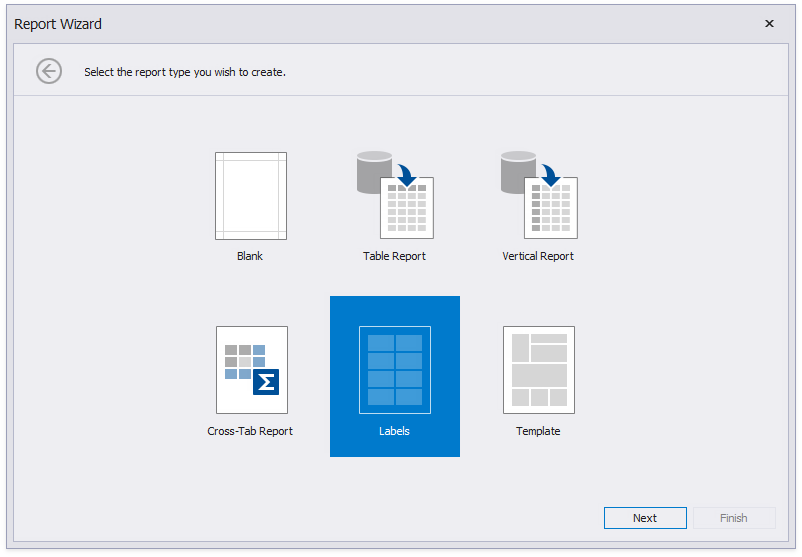 ReportWizard-ChooseReportType-Labels