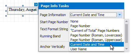 eurd-win-insert-datetime-set-pageinfo