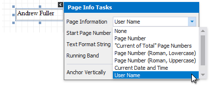 eurd-win-insert-username-set-pageinfo