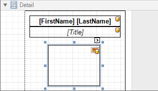 eurd-win-label-report-layout