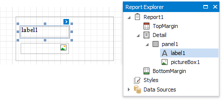 eurd-win-panel-structure-in-report-explorer