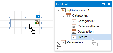 eurd-win-picture-box-drop-from-field-list