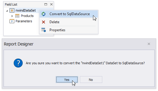 design-time-report-explorer-data-source-convert-data-set