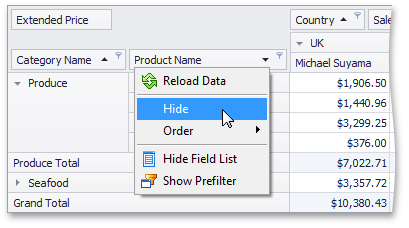 EU_XtraPivotGrid_FieldHide