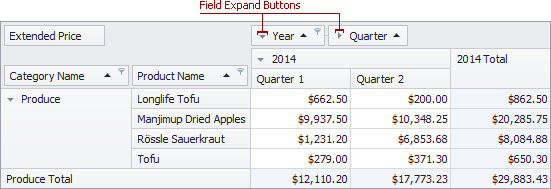 EU_XtraPivotGrid_FieldExpandButton